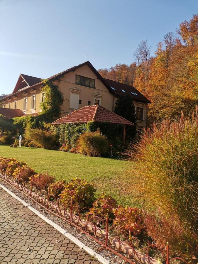 Vila Cerbul Albastru 호텔 모네아사 외부 사진