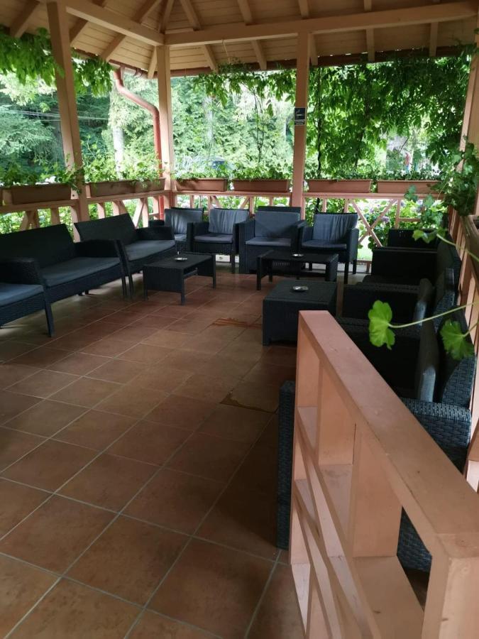 Vila Cerbul Albastru 호텔 모네아사 외부 사진