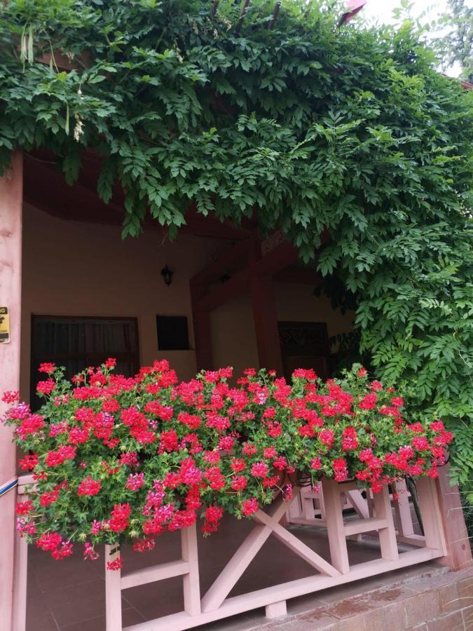 Vila Cerbul Albastru 호텔 모네아사 외부 사진