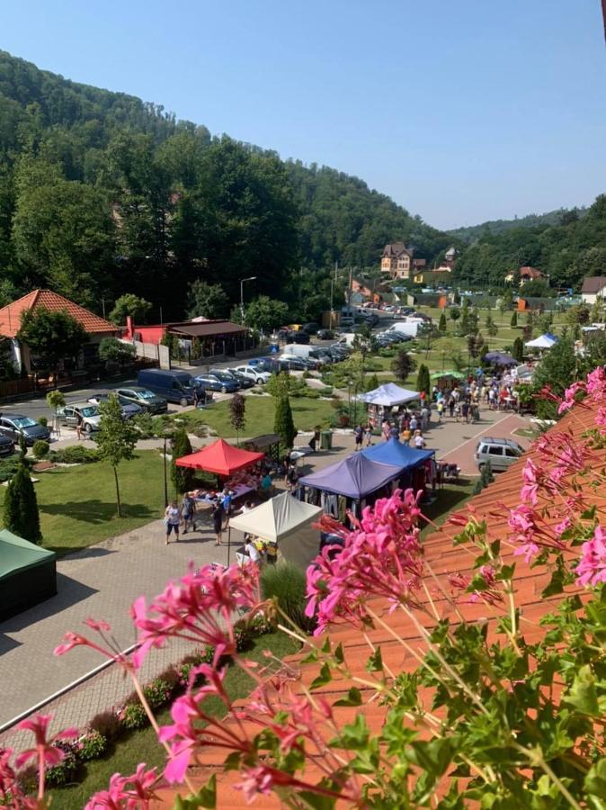 Vila Cerbul Albastru 호텔 모네아사 외부 사진