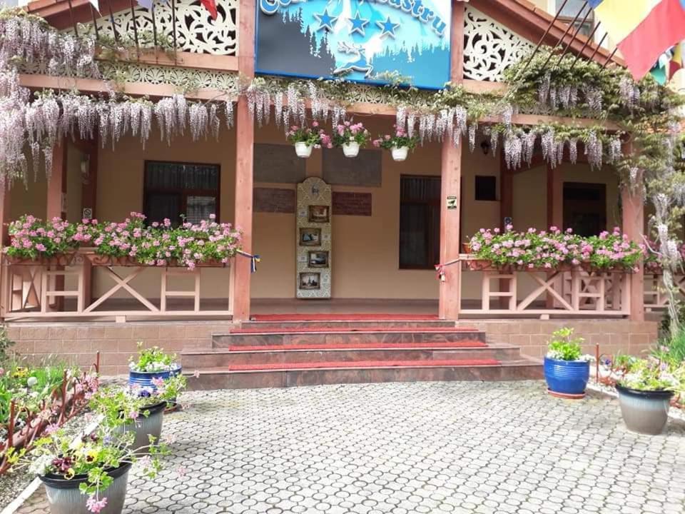 Vila Cerbul Albastru 호텔 모네아사 외부 사진